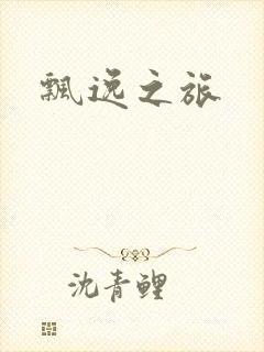 飘逸之旅封面