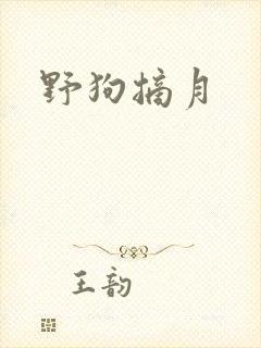 野狗摘月