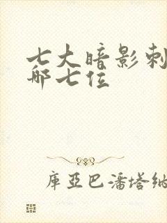 七大暗影刺客是哪七位封面