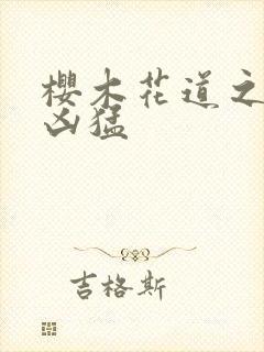 樱木花道之重生凶猛封面