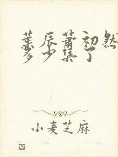 叶辰萧初然更新多少集了