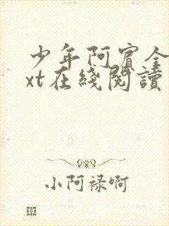 少年阿宾全文txt在线阅读