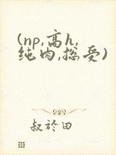 (np,高h,纯肉,总受)