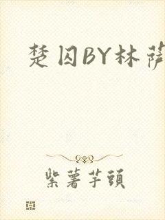 楚囚BY林萨封面