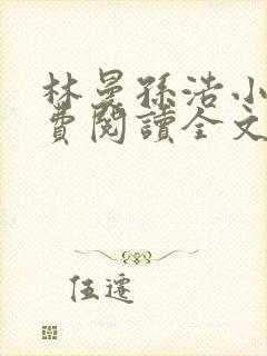 林曼孙浩小说免费阅读全文最新章节