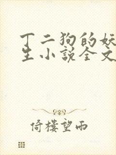 丁二狗的妖孽人生小说全文阅读封面