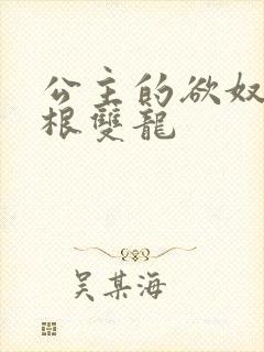 公主的欲奴h四根双龙