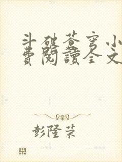 斗破苍穹小说免费阅读全文在线封面