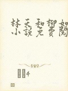 林天和柳如烟的小说免费阅读封面