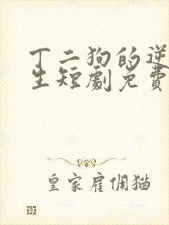 丁二狗的逆袭人生短剧免费观看全集