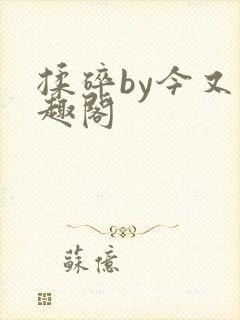 揉碎by今又笔趣阁