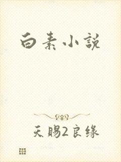 白素小说
