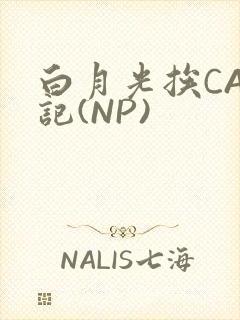 白月光挨CAO记(NP)