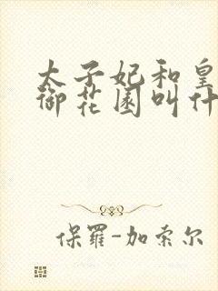 太子妃和皇帝在御花园叫什么小说