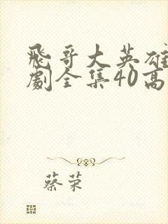 飞哥大英雄电视剧全集40高清观看封面