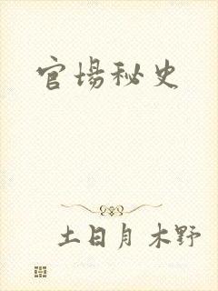 官场秘史