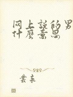 网上说的男模是什么意思