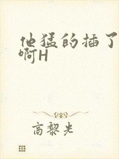 他猛的插了进去啊H