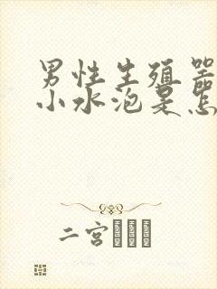 男性生殖器上长小水泡是怎么回事