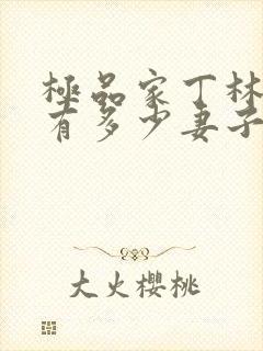 极品家丁林晚荣有多少妻子