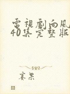 电视剧向风而行40集完整版免费观看