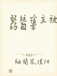 系统宿主被灌满的日常