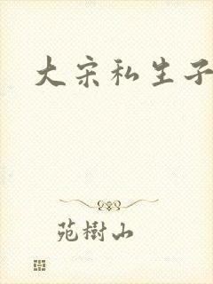 大宋私生子封面