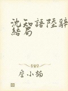 沈知语陆辞衍大结局封面