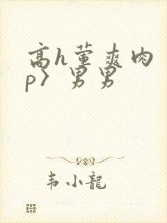 高h荤爽肉〈np〉男男