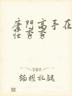 唐门高手在异世庄秀秀封面