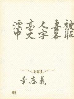 漂亮人妻被强中中文字幕版