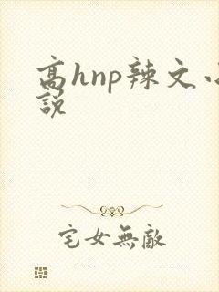 高hnp辣文小说封面