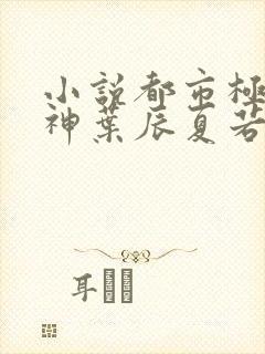 小说都市极品医神叶辰夏若雪无弹窗