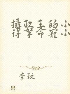 摄政王的小娇娇得拿命宠小说