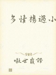 多情杨过小说封面