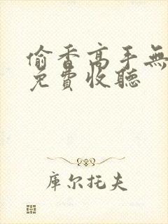 偷香高手无删减免费收听