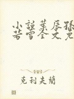 小说叶辰孙怡夏若雪全文免费阅读