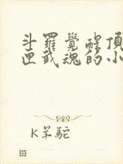 斗罗觉醒顶级剑匣武魂的小说封面