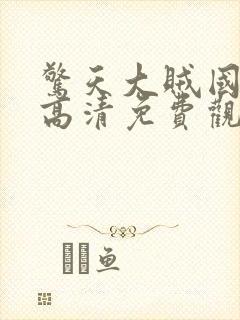 惊天大贼国语版高清免费观看