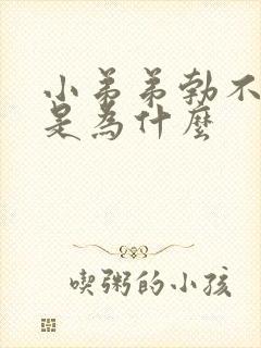 小弟弟勃不起来是为什么