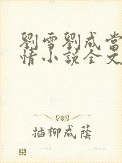 刘雪刘成当代爱情小说全文免费笔趣阁