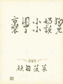 京圈小奶狗他不装了小说免费阅读