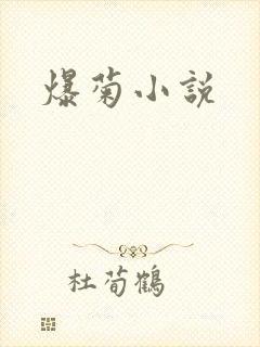 爆菊小说