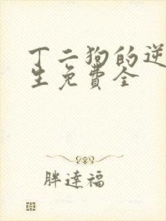 丁二狗的逆袭人生免费全