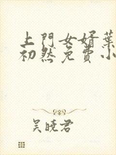 上门女婿叶辰萧初然免费小说