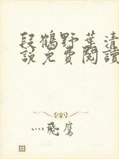 段鹤野叶清璃小说免费阅读最新章节封面