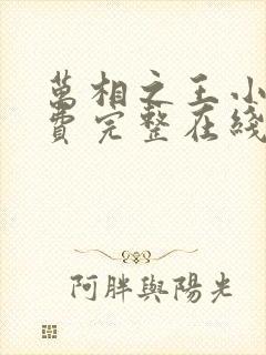 万相之王小说免费完整在线阅读