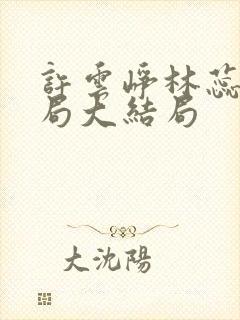 许云峥林蕊思结局大结局