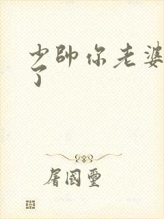 少帅你老婆又跑了