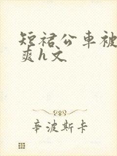 短裙公车被强好爽h文